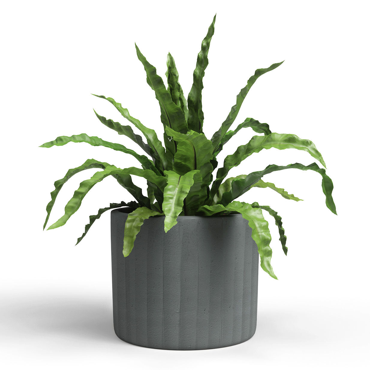 Chloe Ceramic Vertical Pot Anthracite 26cm