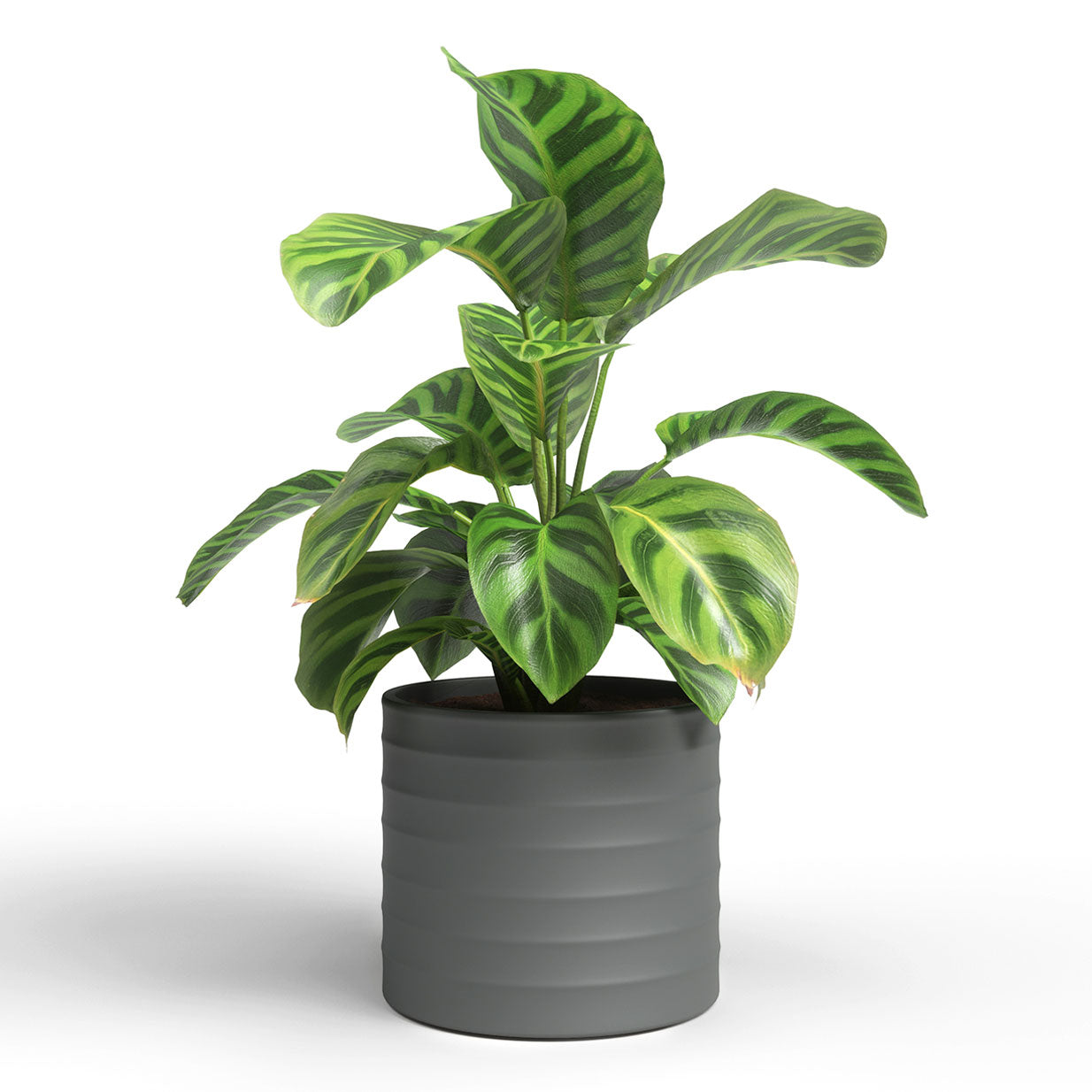 Chloe Horizonal Ceramic Pot Anthracite 21cm