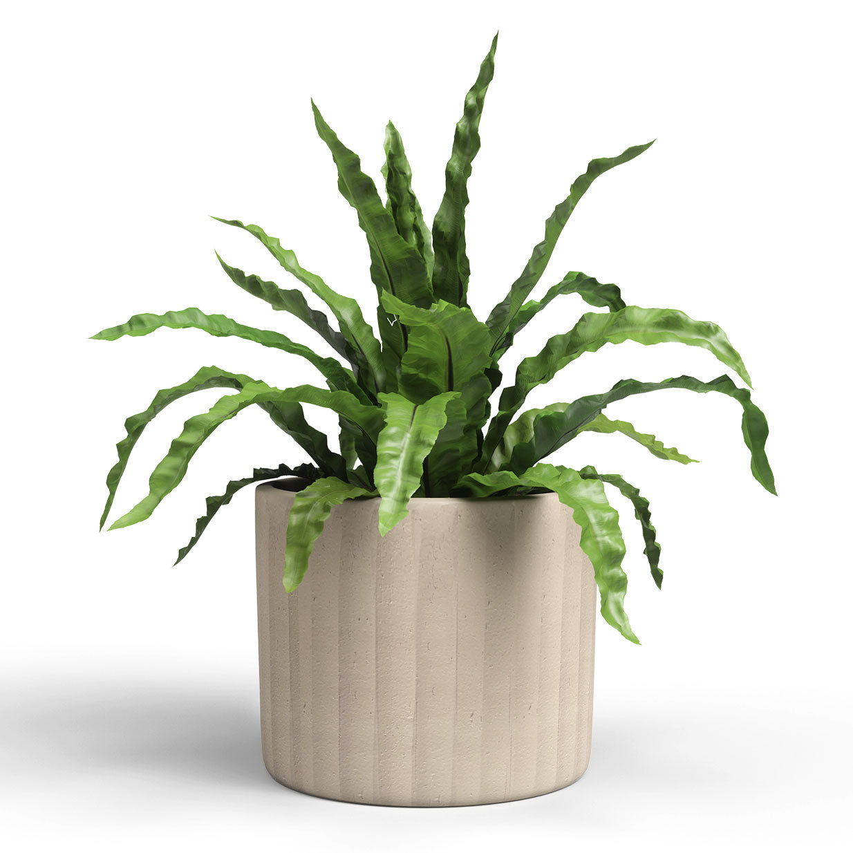 Chloe Vertical Ceramic Pot Beige 21cm