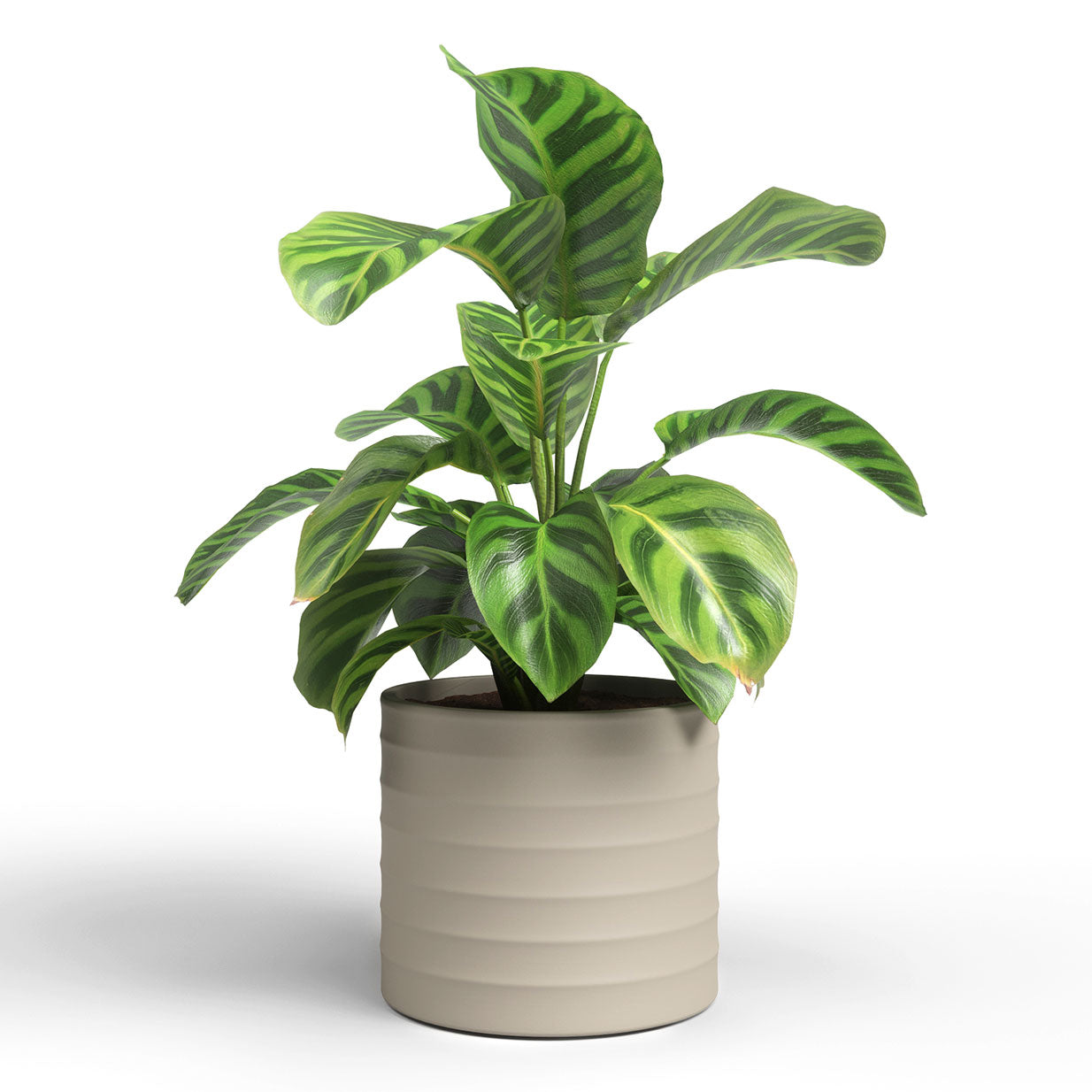 Chloe Horizonal Ceramic Pot Beige 25cm