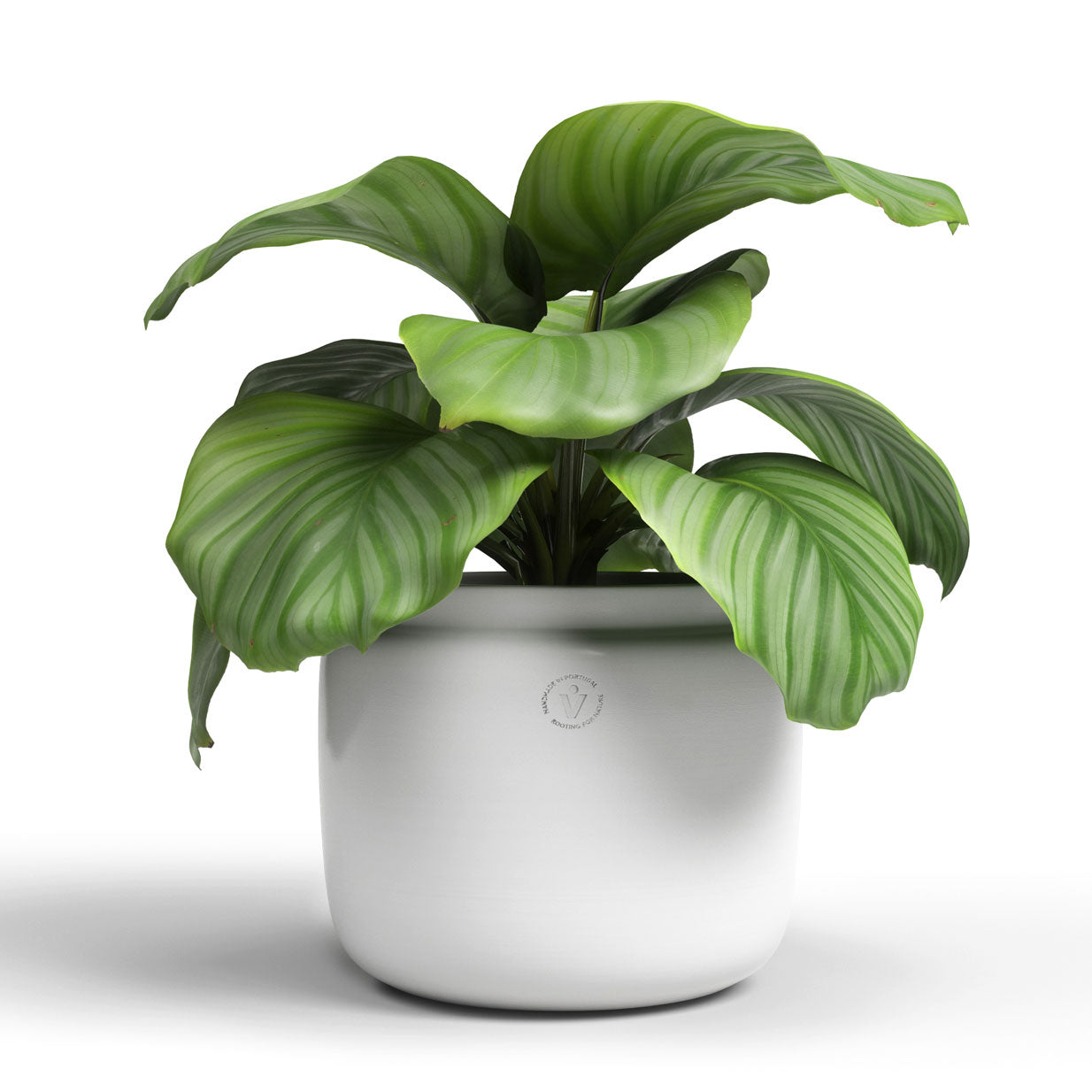 Astrea Ceramic Pot White 20cm