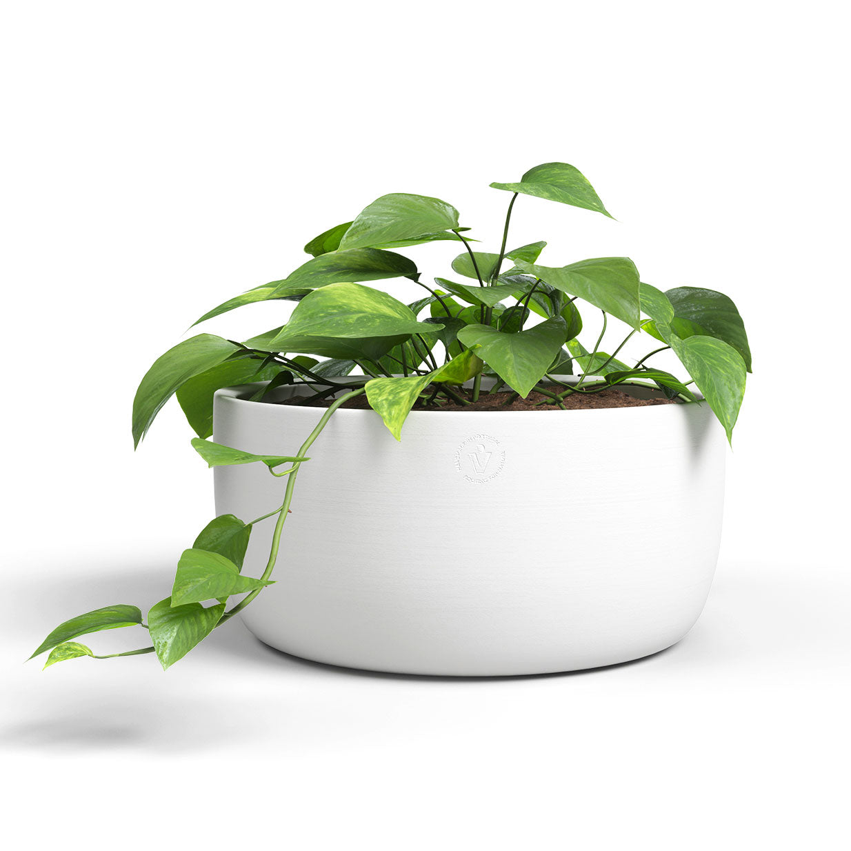 Urania Ceramic Bowl White 30cm