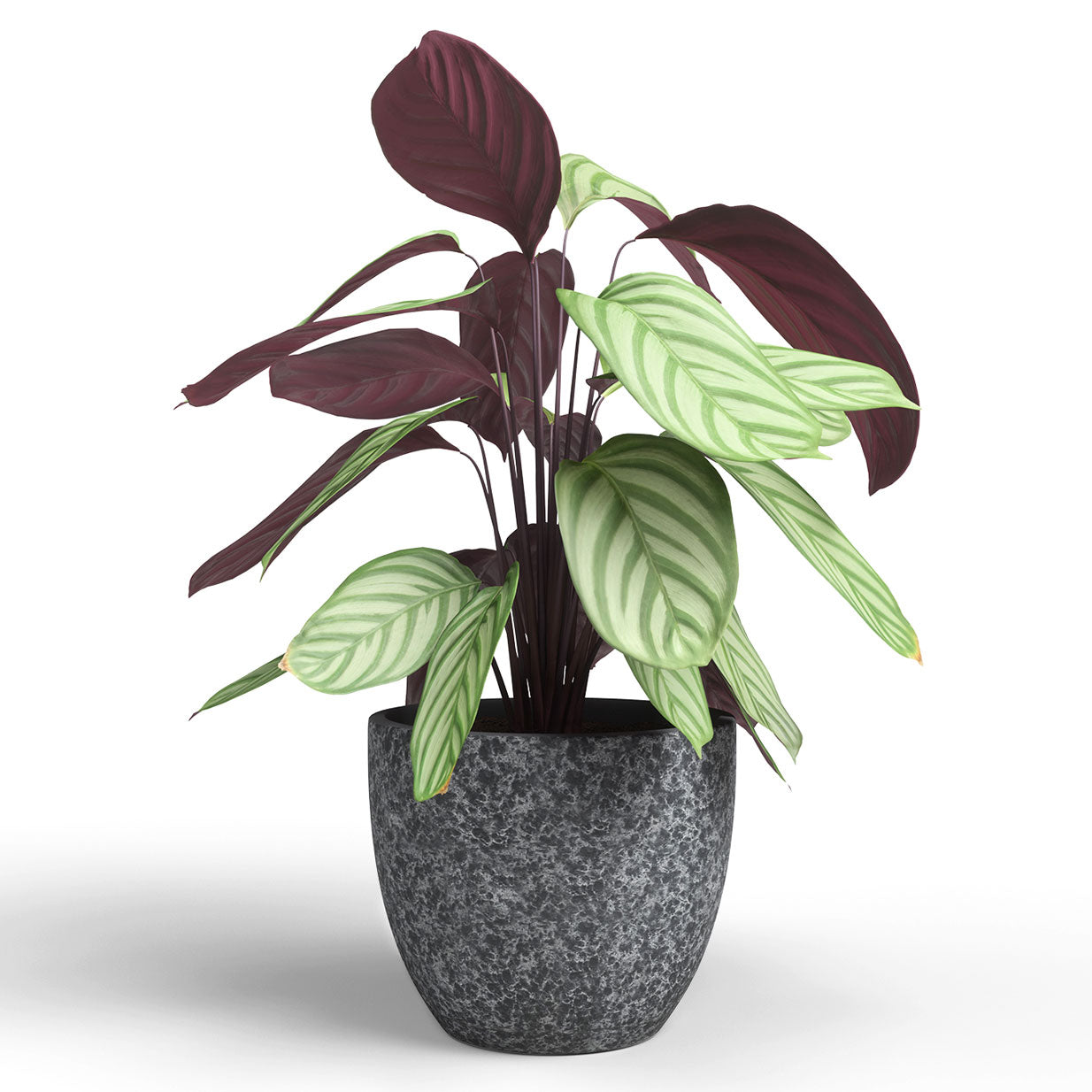 Hestia Ceramic Pot Anthracite 17cm