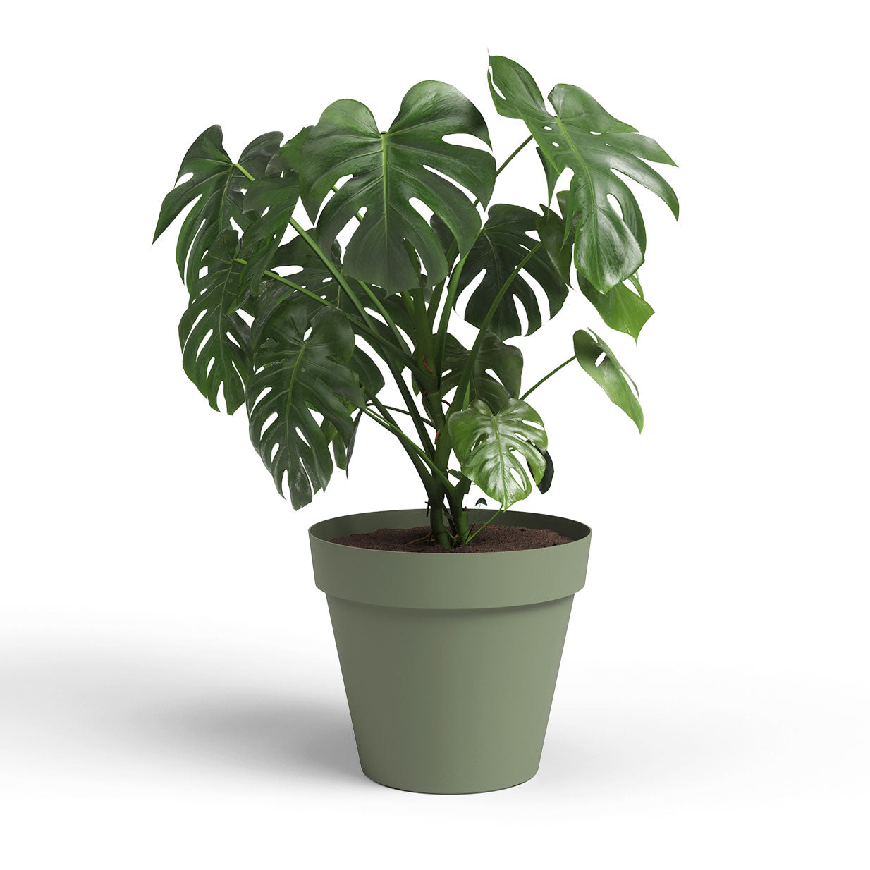 Capri Plastic Pot Ash Green 30cm