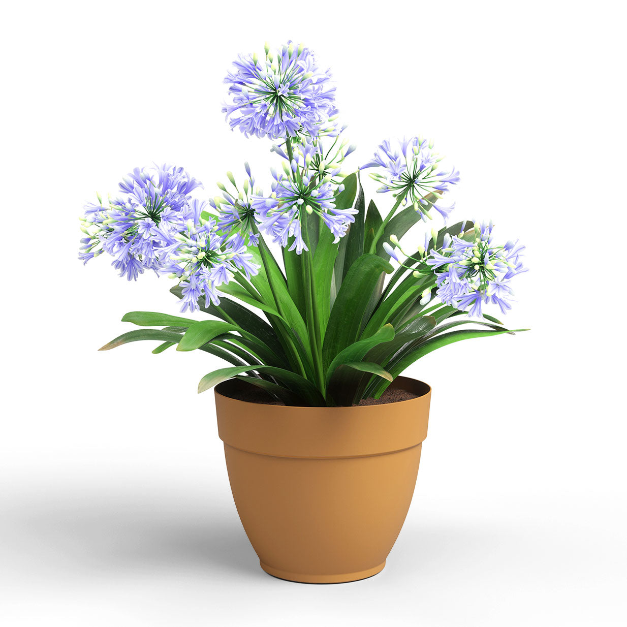 Capri Campana Plastic Pot Honey Yellow 20cm