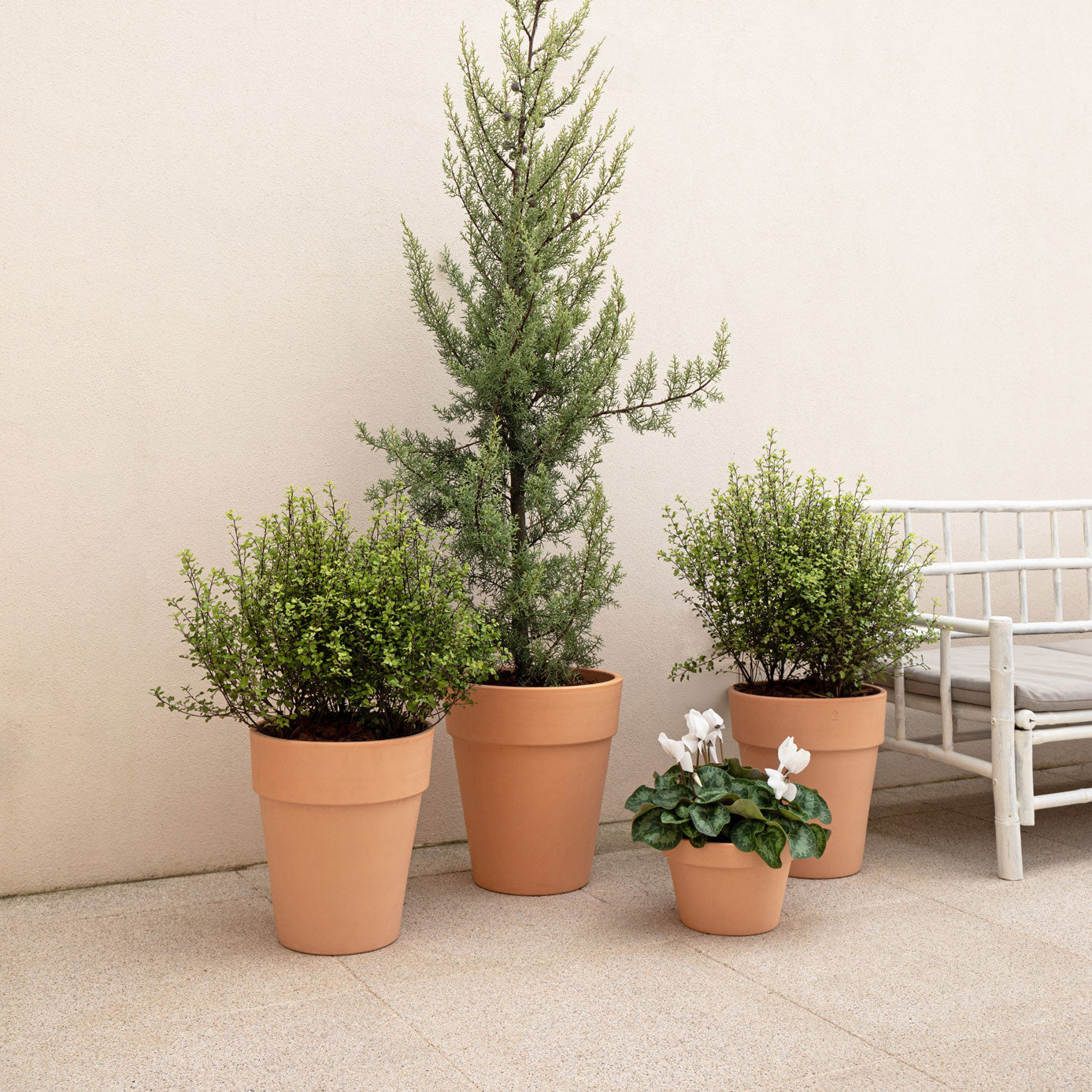 Amalia Terracotta Bowl 27cm
