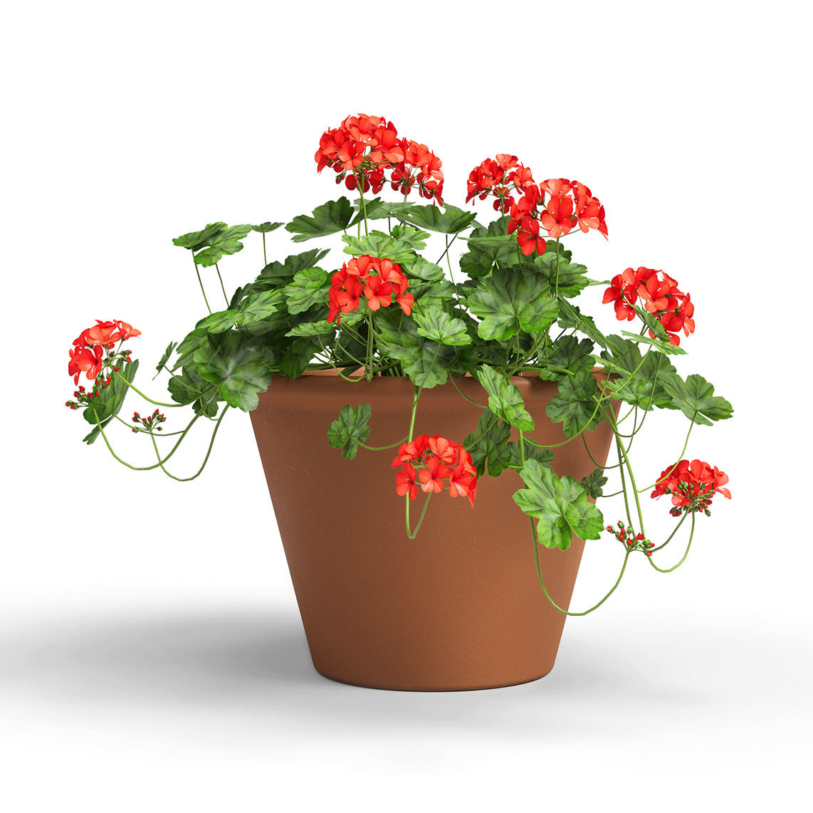 Saramago Terracotta Pot 37cm