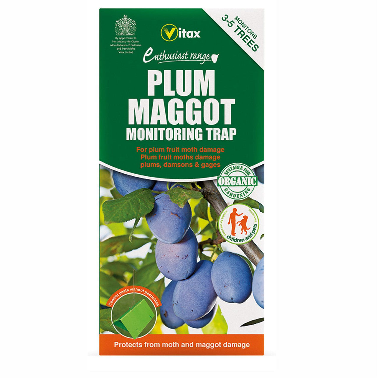 Plum Maggot Trap