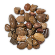 Coastal Shore Stone Pebbles Large