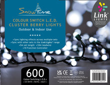 SnowTime 600 LED Berry Cluster Lights - Linkable & Colour Switching (White, Pastel, Multi)