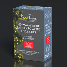 100 Warm White LED Chasing String Lights