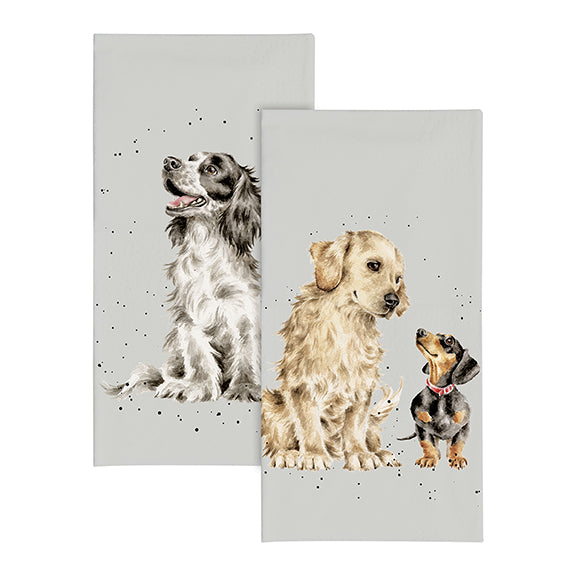 Dog Pocket Tissues First Dates