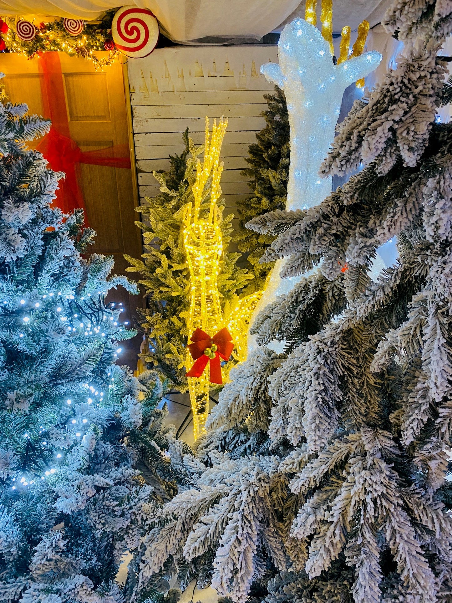 Santa's Grotto Visit