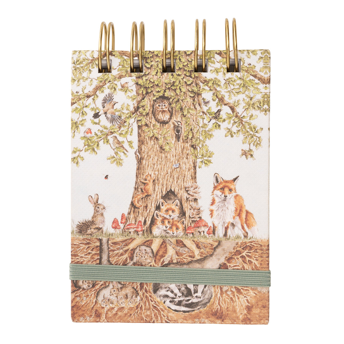 Nature Field Notebook Woodland