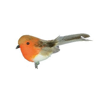 Robin on Clip 6cm