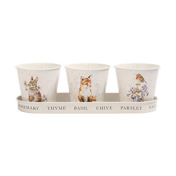 Set of 3 Herb Pots with tray Woodland