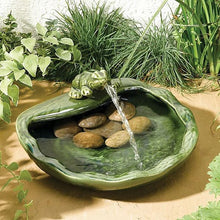 Frog Water Feature - Solar Power
