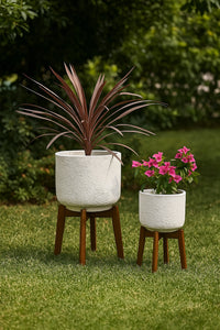 White Fibre Cement Pots With Acacia Legs Set Of Two