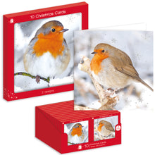 10 Robin Christmas Cards - Incl. 2 Designs