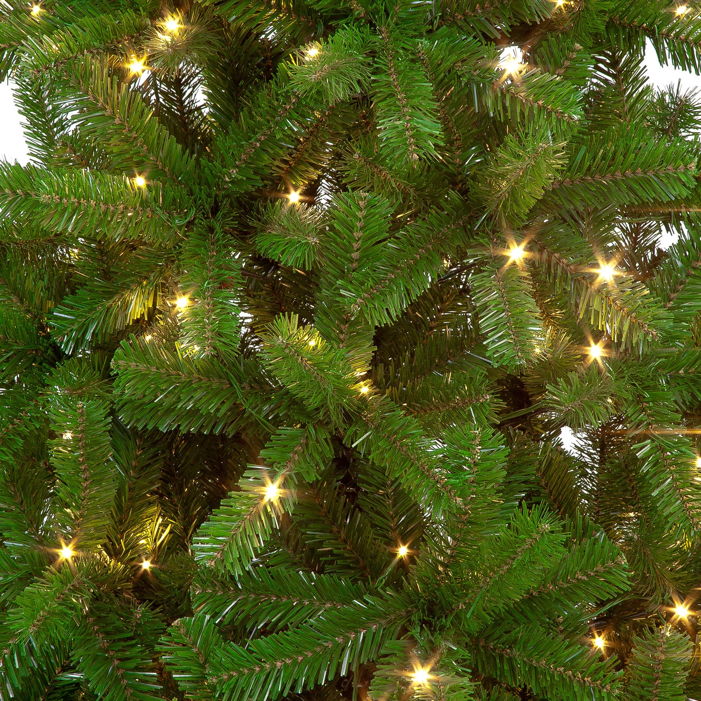 7ft Randolph Pine Pre-Lit Christmas Tree (210cm)