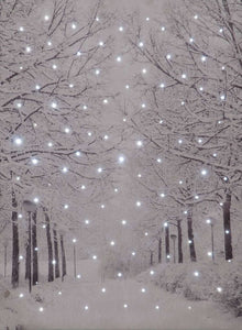 'Frosted Forest' Illuminated Canvas 30cm x 40cm