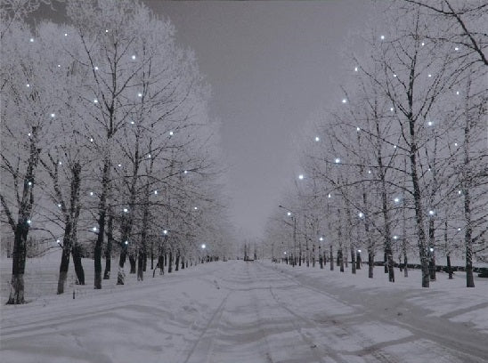 Battery Operated Fibre Optic Canvas With Tree-Lined Snowy Avenue At Night 70cm x 50cm