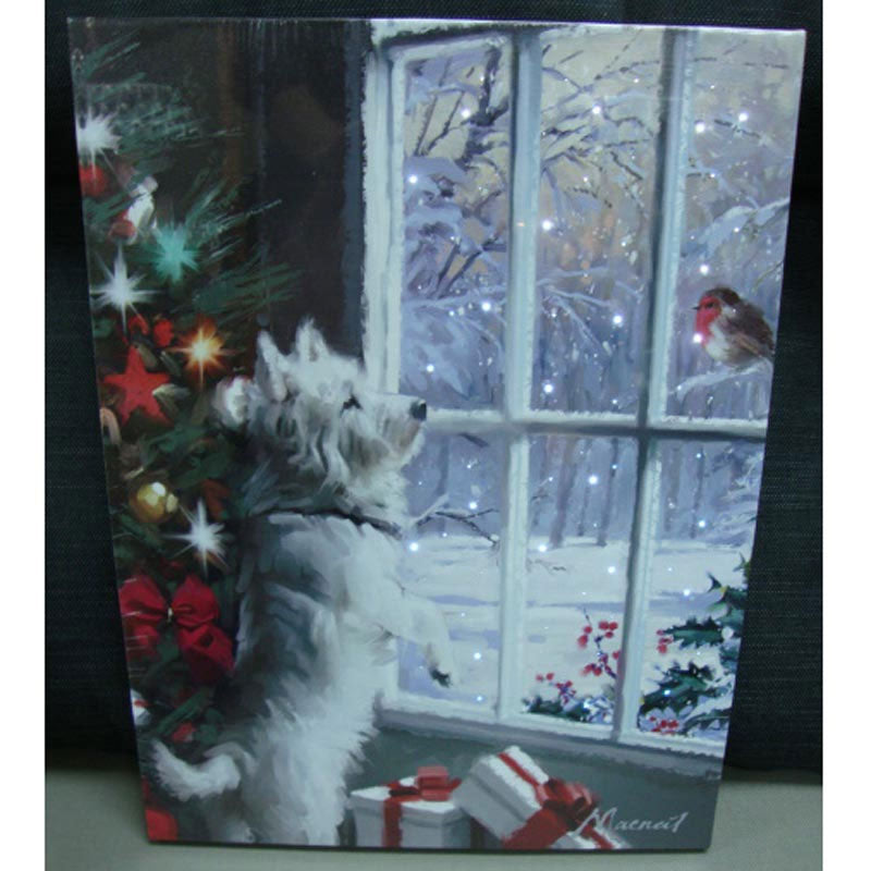 Battery Operated Fibre Optic 30x40cm Curiosity Canvas