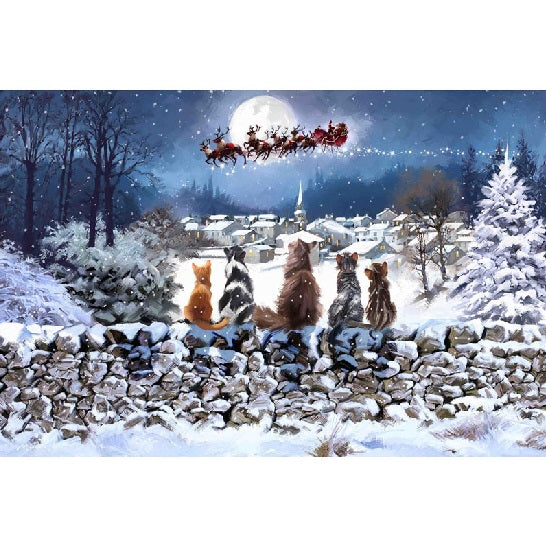 Fibre Optic "Christmas Cats" Canvas by Richard Macneil 60cm x 30cm