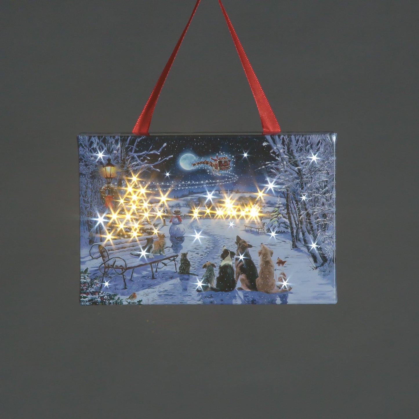 15x10cm Christmas Cats & Dogs In Park Canvas