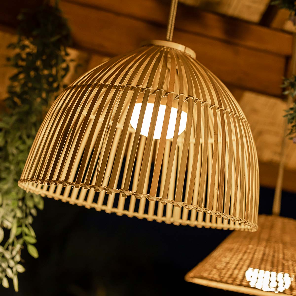 Reona 30 Hanging Lamp