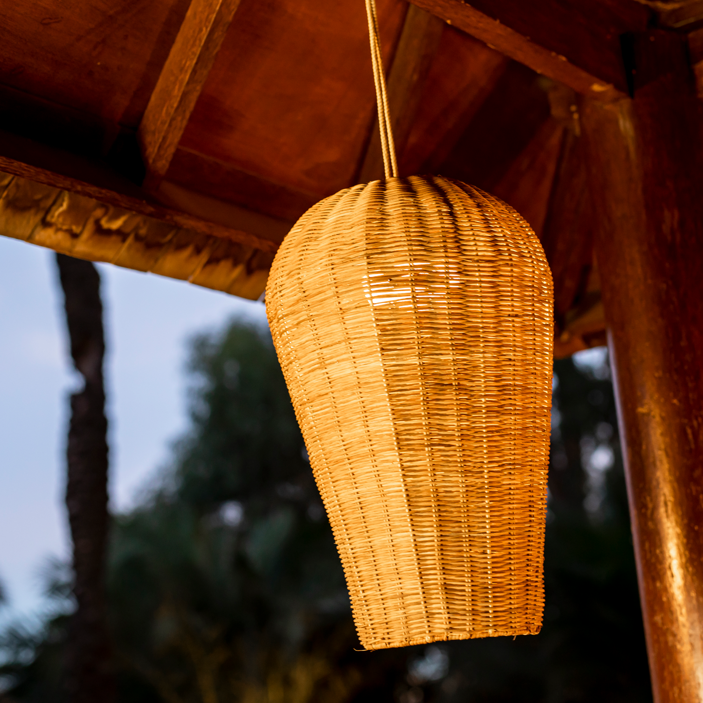 Saona 50 Hanging Lamp