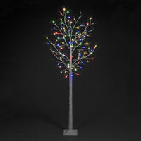 240cm (8ft) Light-Up Birch Tree with 136 Multi-Coloured LEDs