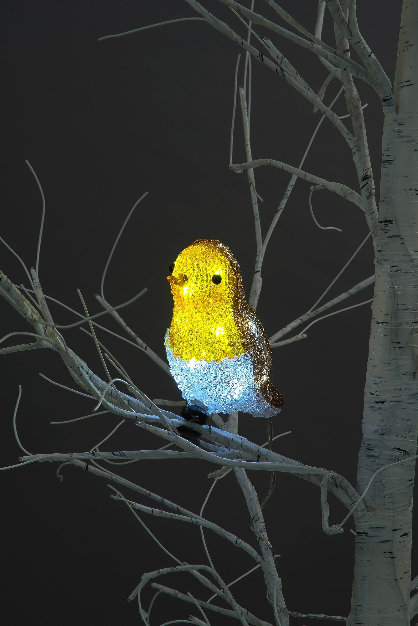 18cm Acrylic Bird With 16 White LEDs