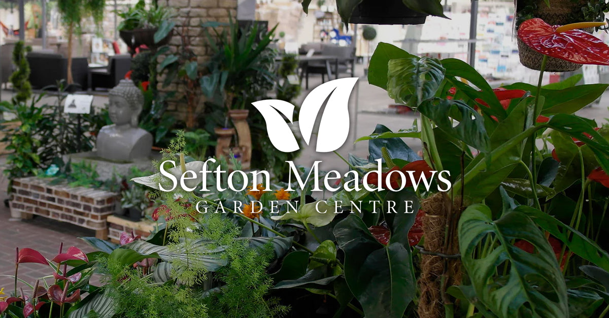 Liverpool's Favourite Garden Centre | Sefton Meadows Garden Centre
– Sefton Meadows Garden Centre
