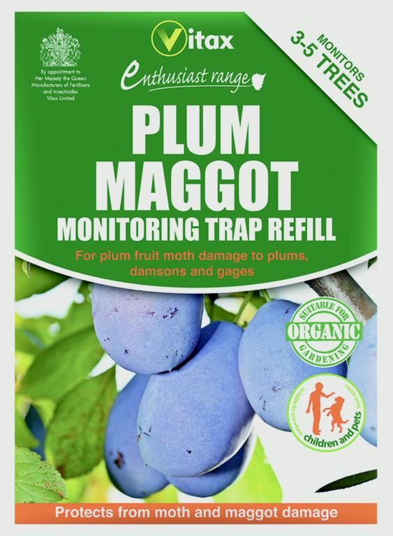 Plum Maggot Refill