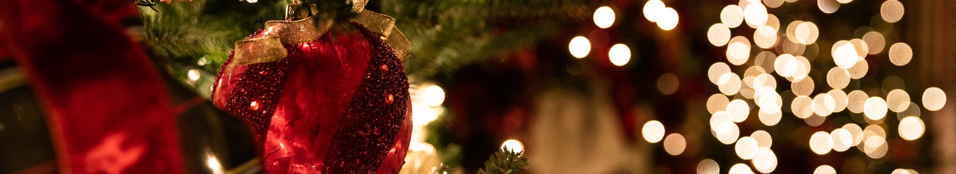 Christmas Trees, Lights & Decor