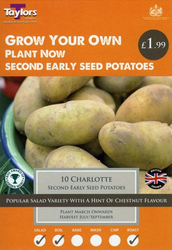 Charlotte Potatoes 30-45
