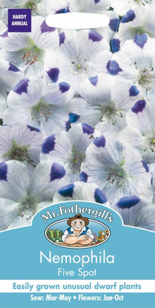 Mr Fothergills Nemophila Five Spot Seeds