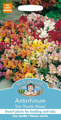 Mr Fothergills Antirrhinum Tom Thumb Mixed Seeds