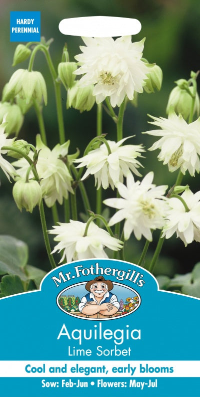 Mr Fothergills Aquilegia Lime Sorbet Seeds