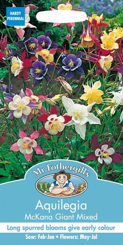 Mr Fothergills Aquilegia Mckana Giant Mixed Seeds