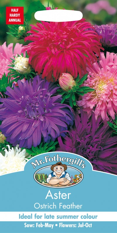 Mr Fothergills ASTER Ostrich Feather Seeds