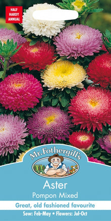 Mr Fothergills ASTER Pompon Mixed Seeds