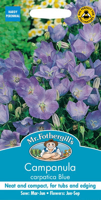 Mr Fothergills Campanula Carpatica Blue Seeds
