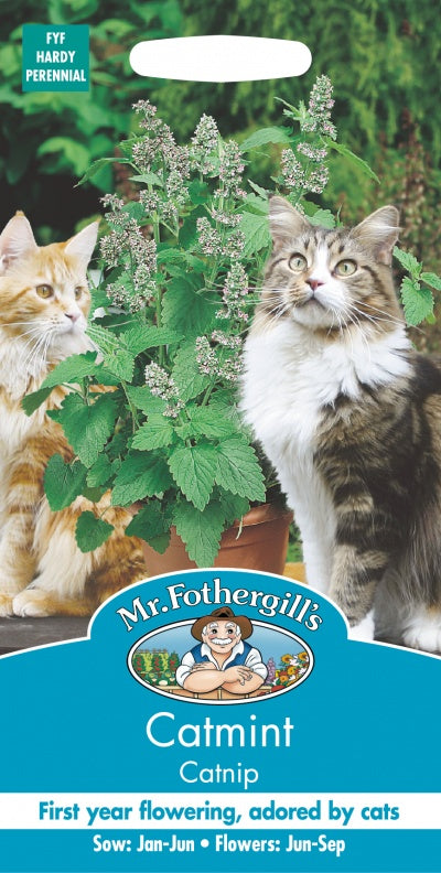 Mr Fothergills Catmint Catnip Seeds