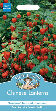 Mr Fothergills Chinese Lanterns Physalis Alkekengi Seeds