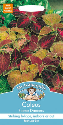 Mr Fothergills Coleus Flame Dancers Seeds