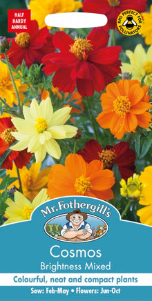 Mr Fothergills Cosmos Brightness Mixed Seeds