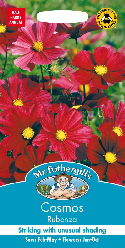 Mr Fothergills Cosmos Rubenza Seeds