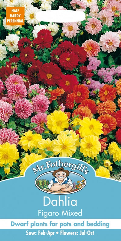Mr Fothergills Dahlia Figaro Mixed Seeds